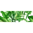 Kép 1/2 - Valore - Garden Tropic Dekor C 25x75 I.oszt
