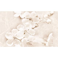 Cersanit - Sofi Inserto Flower 25x40 I.oszt