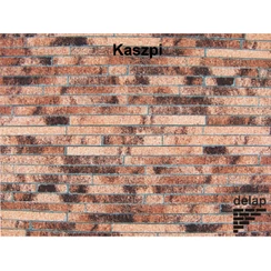 Delap Szalag struktúra Kaszpi Delap Szalag struktúra Kaszpi