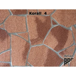 Delap Terméskő struktúra Korall 4