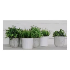 Valore - Lakewood Spa Dekor Ret CCR56 30x60 I.oszt