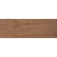 Zalakerámia - Amazonas ZGD 62106 20x60 I.oszt