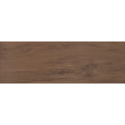 Zalakerámia - Amazonas ZGD 62107 20x60 I.oszt.