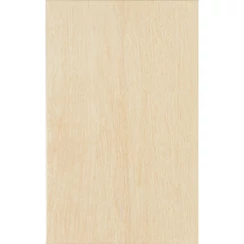 Zalakerámia - Legno ZBD 42035 25x40 I.oszt. Zalakerámia - Legno ZBD 42035 25x40 I.oszt.