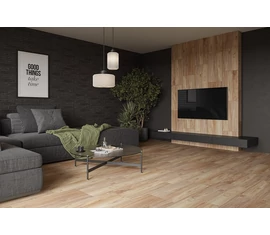 Paradyz - Slang Paradyz - Slang