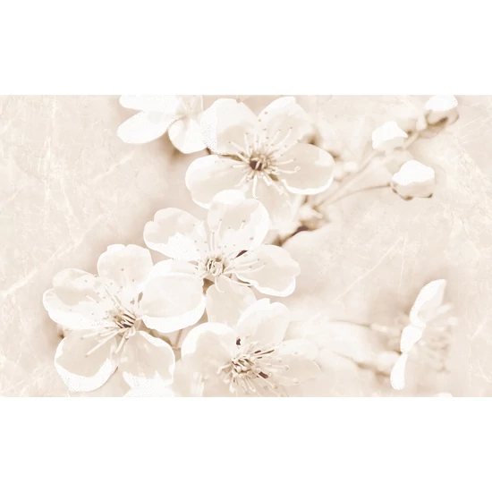 Cersanit - Sofi Inserto Flower 25x40 I.oszt