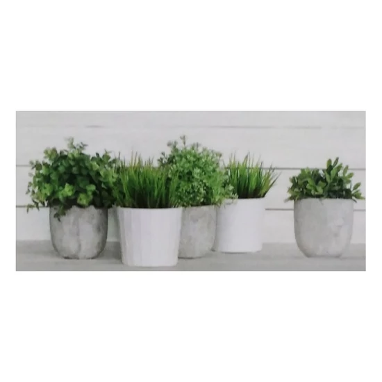 Valore - Lakewood Spa Dekor Ret CCR56 30x60 I.oszt